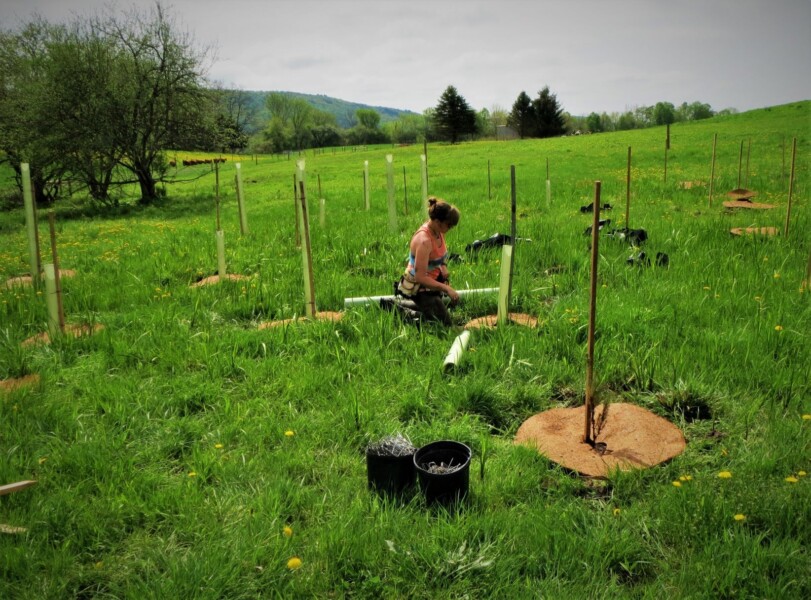 2018 National Association of Conservation Districts photo contest winner (Planting Trees)